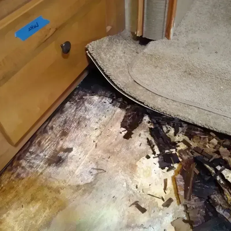 Wood Floor Water Damage in Turner County, SD